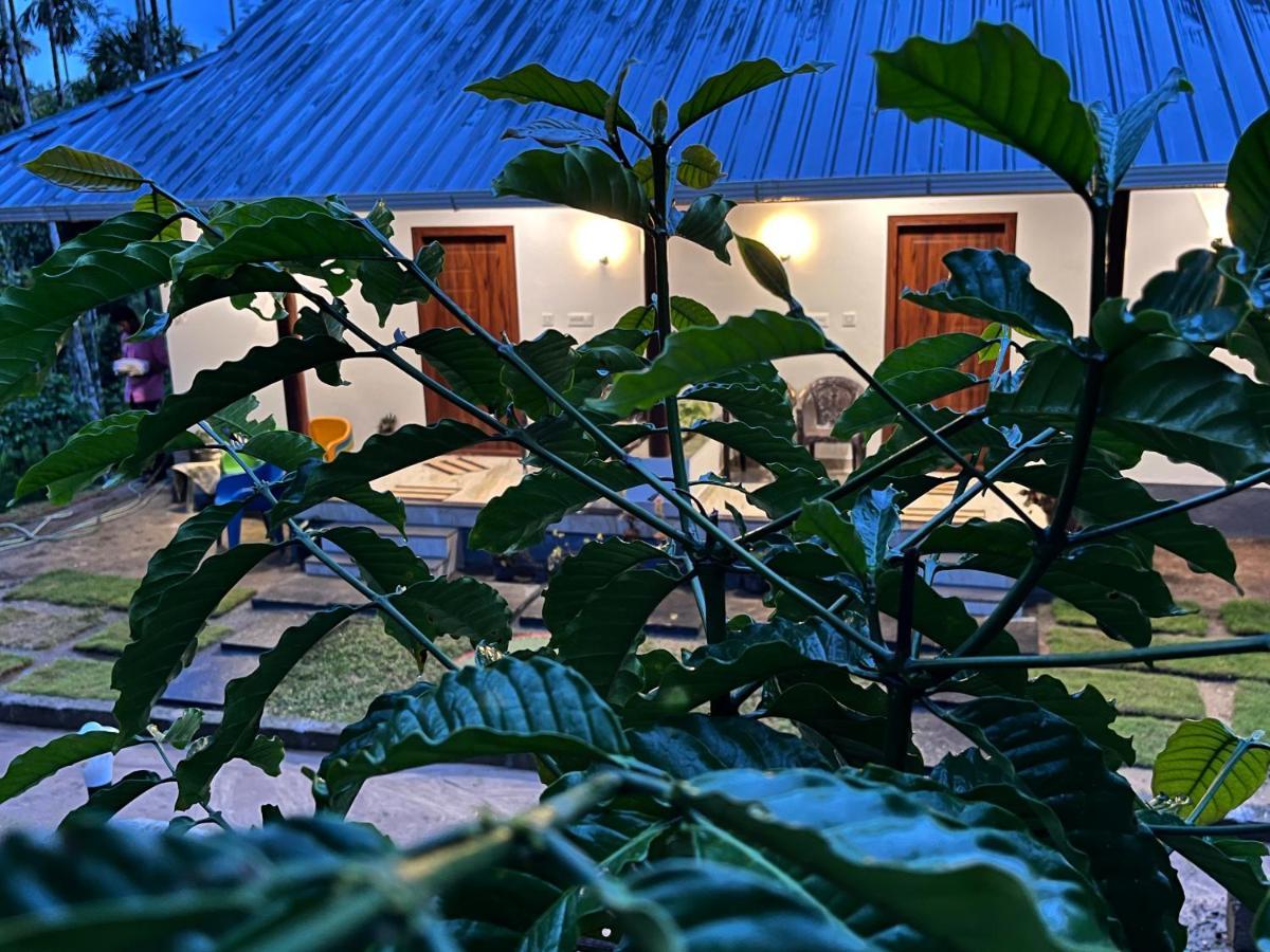 Cave Valley Wayanad Ambalavayal Екстериор снимка